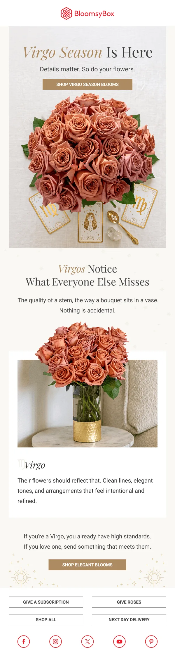 Email design for a client campaign